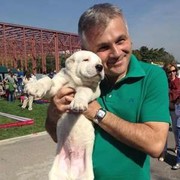 ���������� ������, ���� ������� Alexander, 62 ����, ������������ ��� ������, ����� � ���������, c�������� ���������