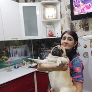 ���������� �����������, ���� ������� ������, 49 ���, ������������ ��� c�������� ���������