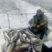 ���������� ������, ���� ������� ���������, 47 ���, ������������ ��� ������, ����� � ���������, c�������� ���������