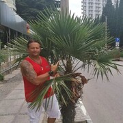 ���������� �����-���������, ���� ������� ������, 52 ����, ������������ ��� ������, ����� � ���������