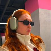 ���������� �����������, �������