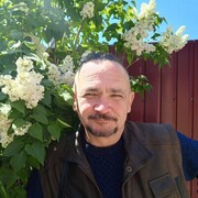  ,   , 50 ,   ,   , c 