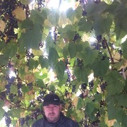 ���������� ����, ���� ������� ������, 45 ���, ������������ ��� ����� � ���������, c�������� ���������