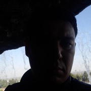  ,  Myrat, 37