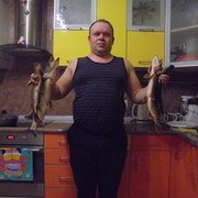  ,   , 79 ,   