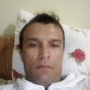  -,   , 43 ,   ,   