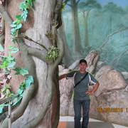 ���������� ��������, ���� ������� ������646, 46 ���, ������������ ��� ������