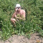  ,   , 49 ,   