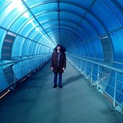 ���������� ���������, ���� ������� ����, 56 ���, ������������ ��� ������, ����� � ���������, ���������