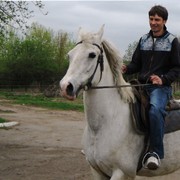 ,   Serj, 46 ,   