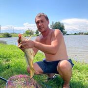 ���������� ���������, ���� ������� �������, 44 ����, ������������ ��� ������, ����� � ���������