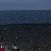  -,   , 36 ,     , c 