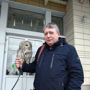 ���������� ������, ���� ������� ���������, 55 ���, ������������ 