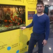  ,   Sherzod, 37 ,  