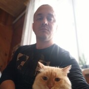  ,   , 43 ,   ,   , 