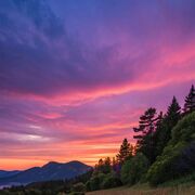 ���������� �����, ����