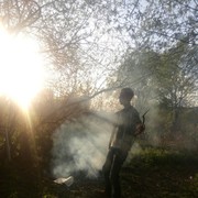 ���������� �����������, ���� ������� �������, 31 ���, ������������ ��� ������, ����� � ���������, c�������� ���������