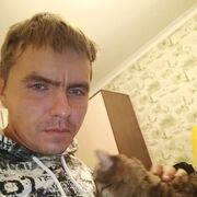 ���������� �����, ���� ������� ���������, 37 ���, ������������ ��� ����� � ���������, c�������� ���������