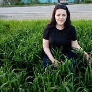 ���������� ���������, ���� ������� ����, 46 ���, ������������ ��� ������, ����� � ���������, c�������� ���������, ���������