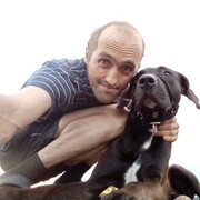 ���������� ��������, ���� ������� ������, 37 ���, ������������ ��� ������, ����� � ���������, c�������� ���������