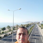  Alanya,   Faris, 41 ,     , c 