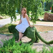 ���������� ���������, ������� �������, 49