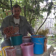 ����������