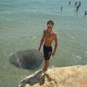 ���������� ����, ���� ������� ����, 37 ���, ������������ 