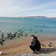 ���������� ���������, ���� ������� ������, 28 ���, ������������ ��� ������, ����� � ���������, c�������� ���������