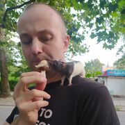  ,   , 41 ,     , c 