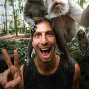 ���������� ������, ���� ������� ����, 41 ���, ������������ ��� ������, ����� � ���������