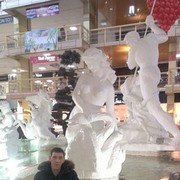 ���������� �������, ���� ������� ����������, 40 ���, ������������ ��� ������, ����� � ���������, c�������� ���������