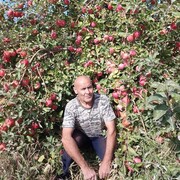 ���������� ������, ���� ������� �����, 47 ���, ������������ ��� ������, ����� � ���������