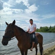  ,   BAD GUYS, 37 ,     , c 