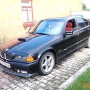 ���������� �����������, ���� ������� �����, 49 ���, ������������ 