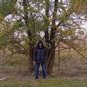 ���������� ������-��-����, ���� ������� �������, 37 ���, ������������ ��� ������, ����� � ���������