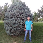  ,   , 50 ,  
