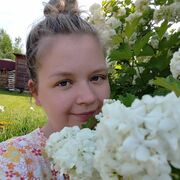 ���������� �����, ���������