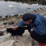 ���������� ������, ���� ������� �����, 29 ���, ������������ ��� ������, ����� � ���������, c�������� ���������, ���������