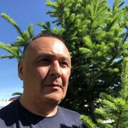 ���������� �����������, ���� ������� ����������, 56 ���, ������������ ��� ������, ����� � ���������, c�������� ���������