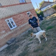  --,   , 56 ,   ,   