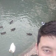 ���������� �������, ���� ������� Murod, 40 ���, ������������ ��� ������, ����� � ���������, c�������� ���������