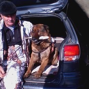 ���������� �����, ���� ������� ��������, 66 ���, ������������ ��� ������, ����� � ���������, c�������� ���������