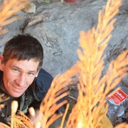 ���������� �����������, ���� ������� ���������, 45 ���, ������������ ��� ������, ����� � ���������, c�������� ���������