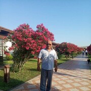  ,   Samir, 63 ,   ,   