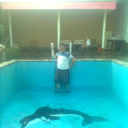  ,   Hasan, 48 ,     , c 