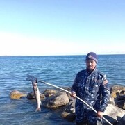  ,   Avaz, 42 ,   ,   , 
