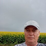  -,   , 55 ,   ,   