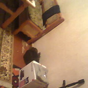  ,   SARVAR, 32 ,   