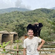 ���������� �������������-����������, ���� ������� ����, 37 ���, ������������ 